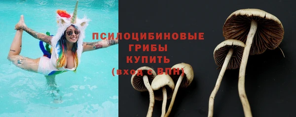 спайс Вязьма