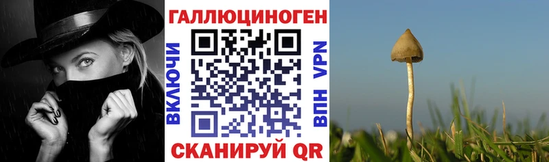 дарнет шоп  Дедовск  Галлюциногенные грибы ЛСД 